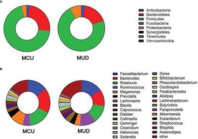 Differences in clinical features and gut microbiota between individuals with methamphetamine casual use and methamphetamine use disorder